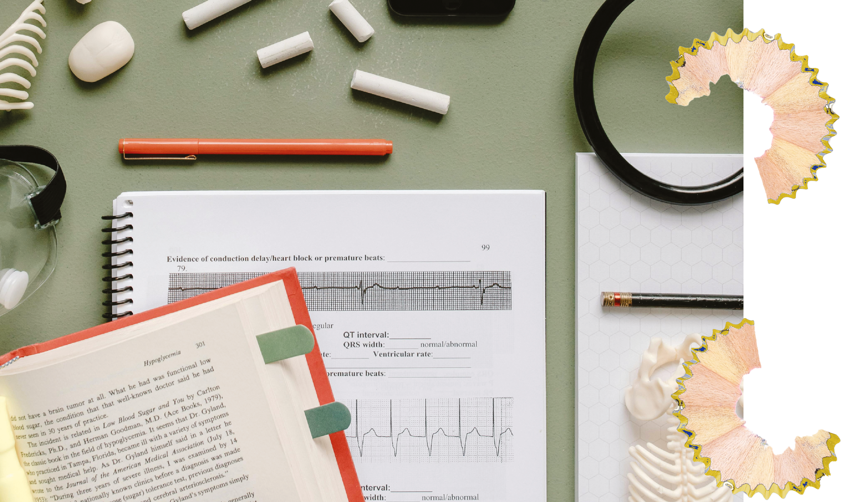 Verschiedene Lernmaterialien wie Bücher, Notizblöcke, Stifte und anatomische Modelle liegen auf einem Tisch, ergänzt durch Bleistiftspänen.